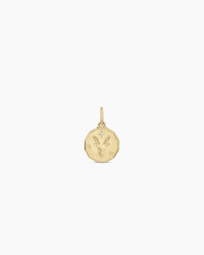 Diamond Zodiac Coin Charm