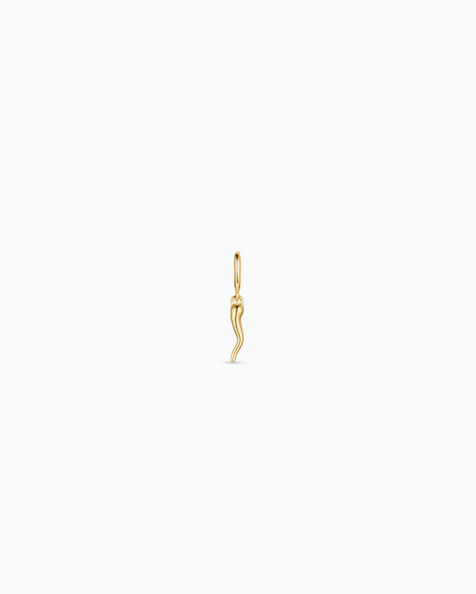 Italian Horn Parker Charm