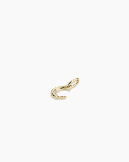 Diamond Crescent Charm